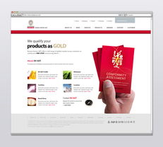 網頁設計 立德國際商品試驗