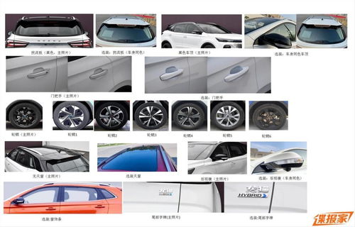 8款新車集中曝光 國產(chǎn)品牌半壁江山，另有零配件新利好