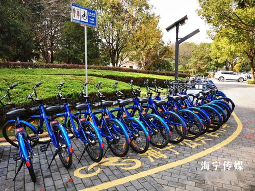 市區(qū)新增500個車位，城鐵沿線配建公共自行車站點(diǎn)，破解城市出行“最后一公里”